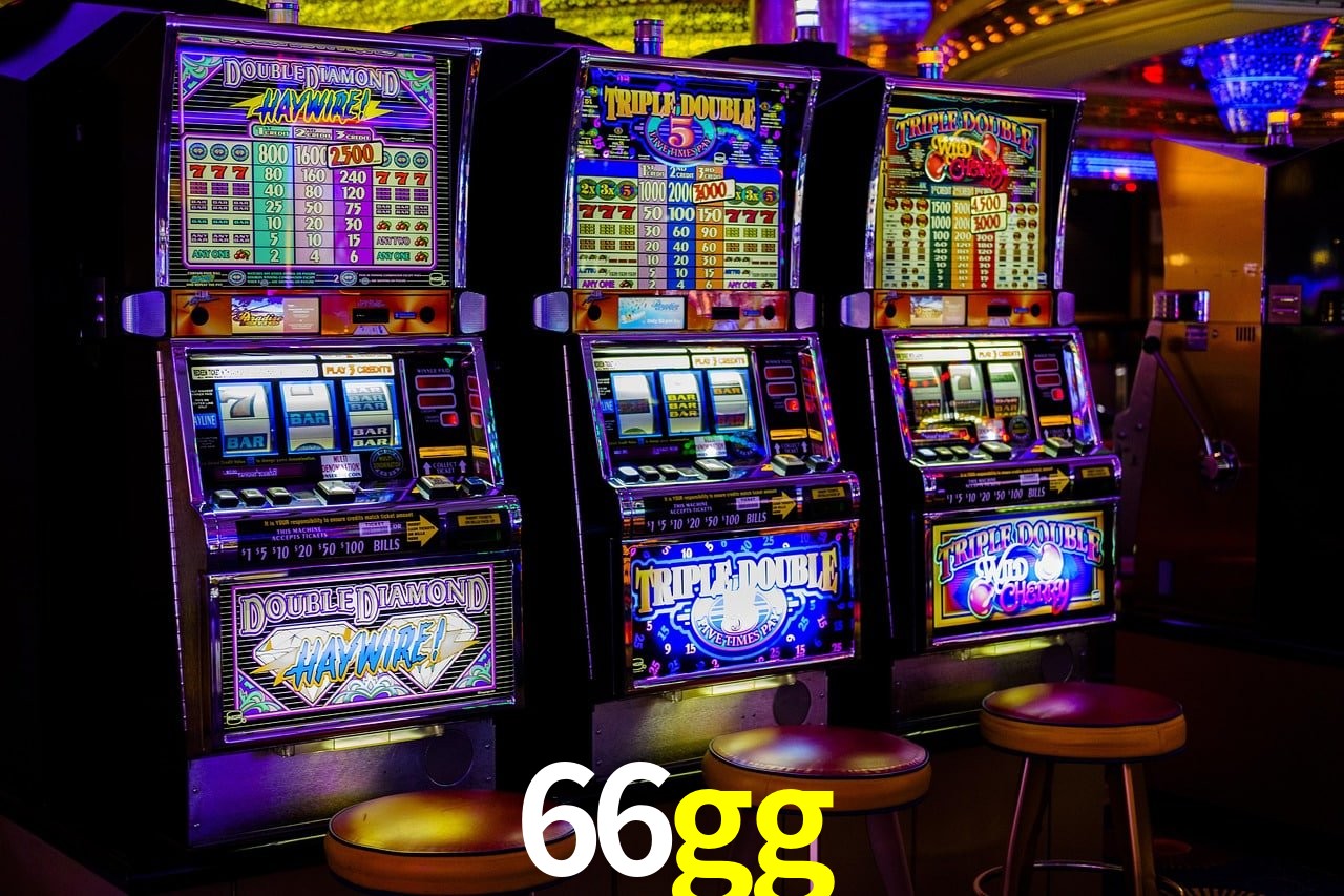 Experiência VIP 66gg
